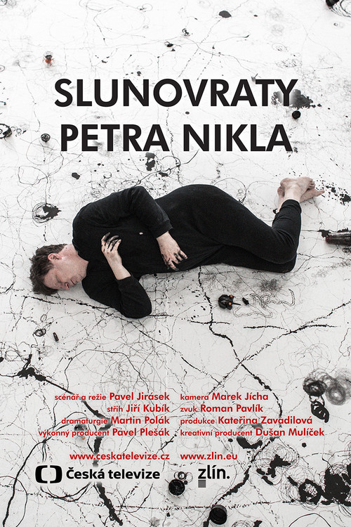 The Solstices of Petr Nikl poster