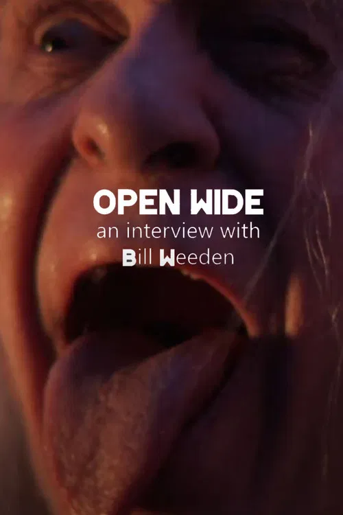 Open Wide poster