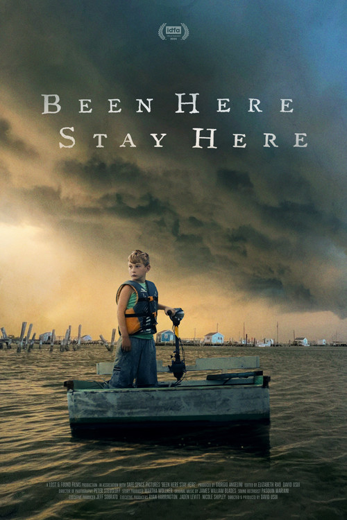 Been Here Stay Here poster