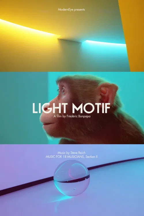 Light Motif poster