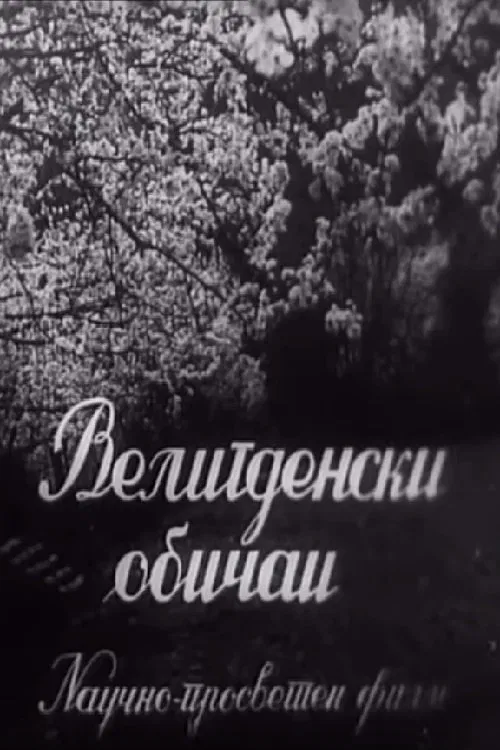 Easter Customs poster