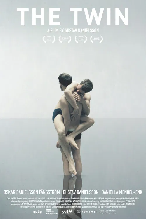 The Twin poster