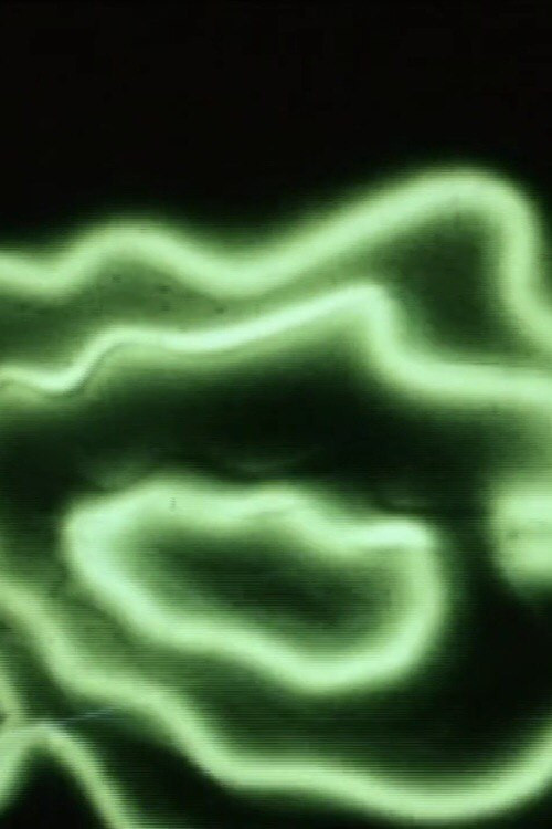 Naturale Artificiale (La Rosa) poster