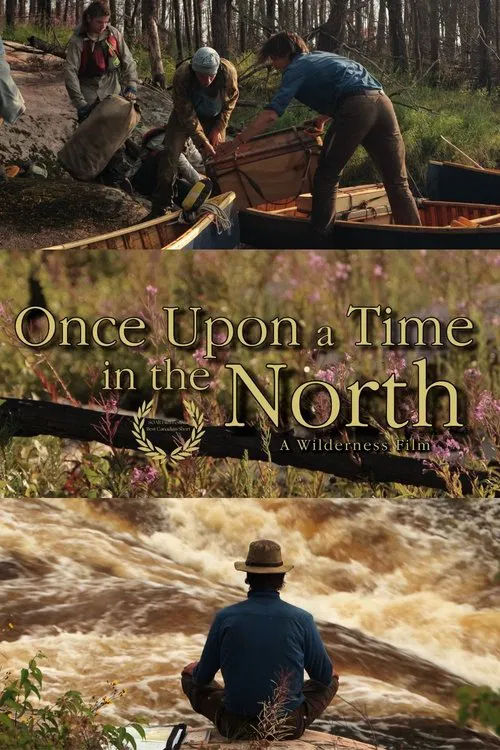 Once Upon a Time in the North poster
