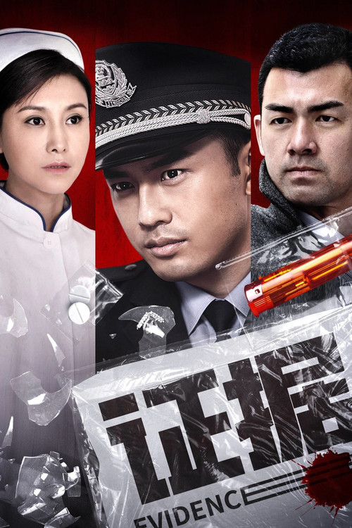 证据 poster