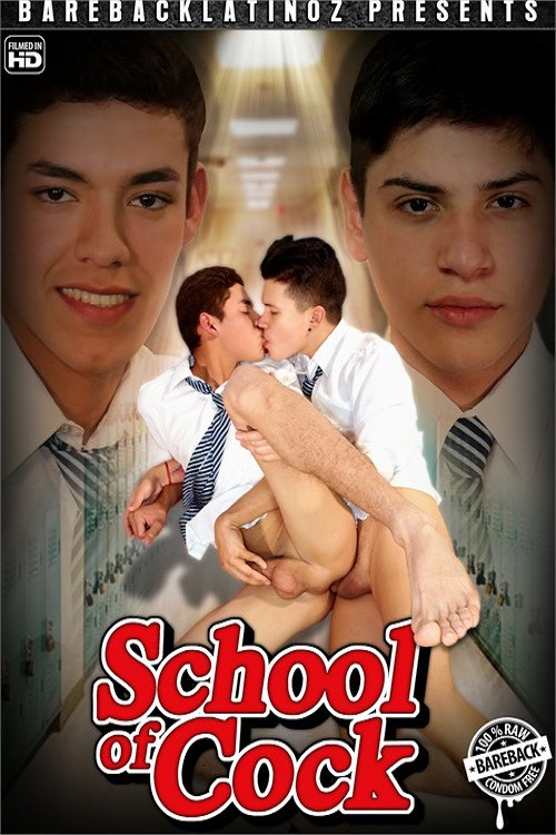 School of Cock poster