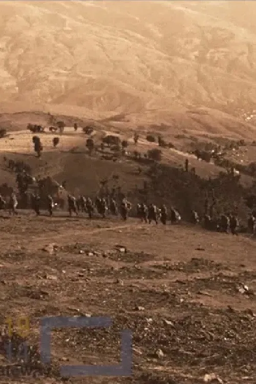 Battle of Zedilovo poster