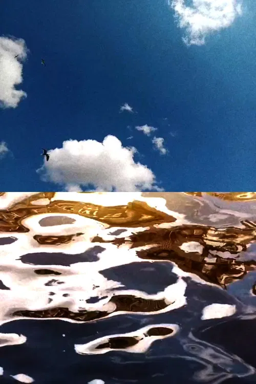 Landscape For Birds poster