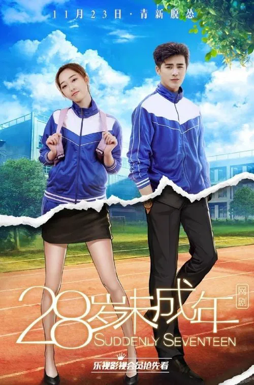 Suddenly Seventeen poster