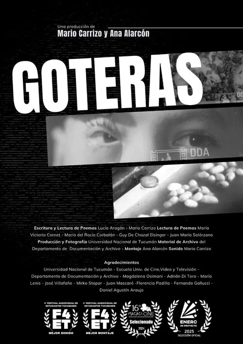 Goteras poster