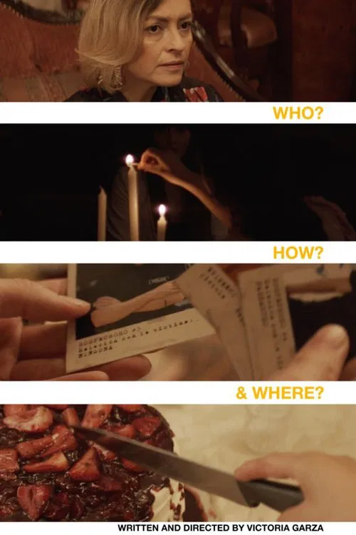 Who? How? And Where? poster