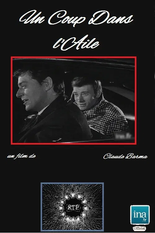 Un coup dans l'aile poster