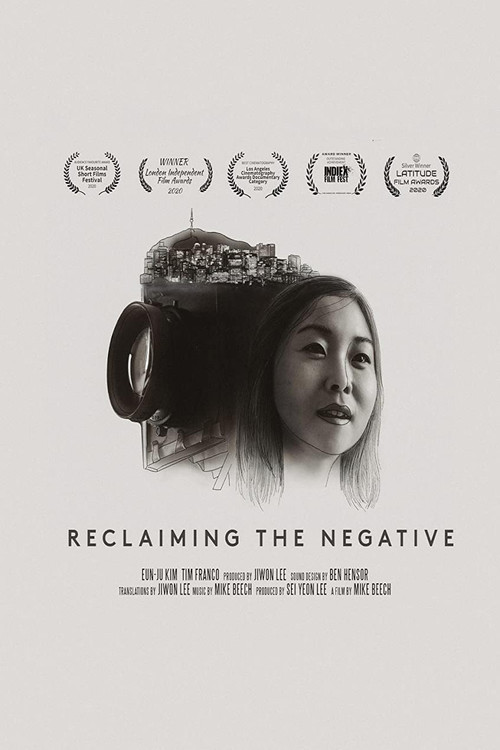 Reclaiming The Negative poster