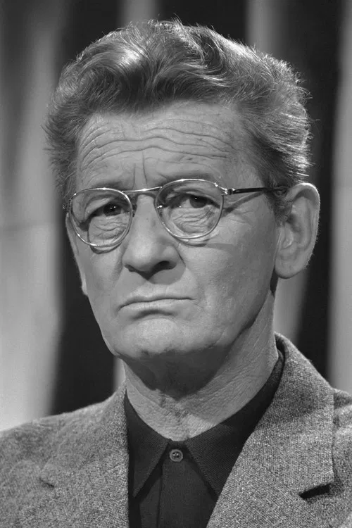 Simon Carmiggelt profile