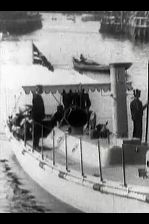 Kong Haakons og Dronning Mauds Besøg i Danmark poster