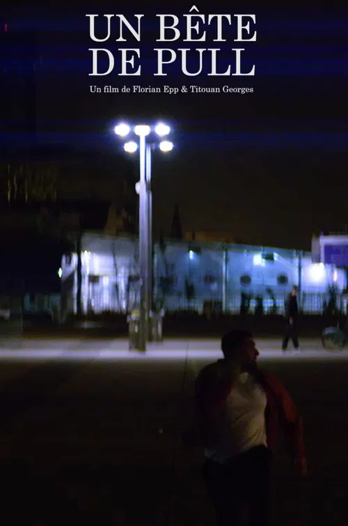 Un Bête de Pull poster