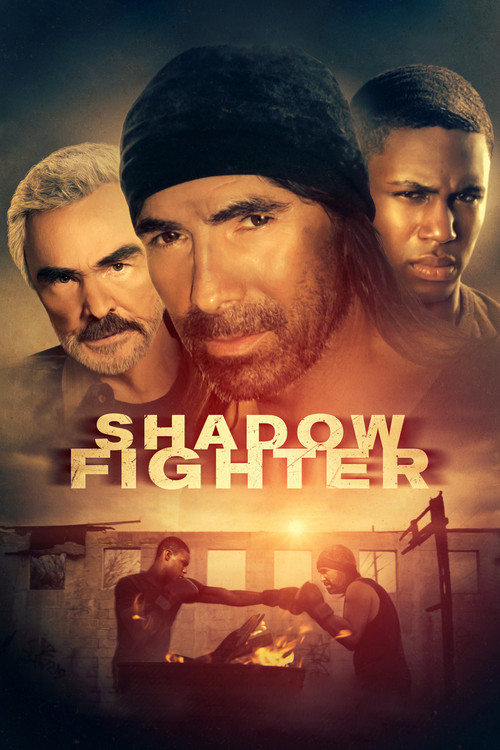 Shadow Fighter poster