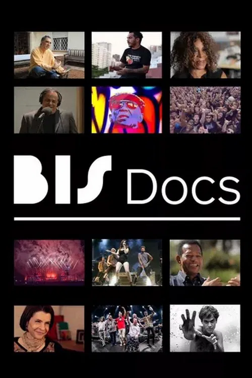 BIS Docs poster