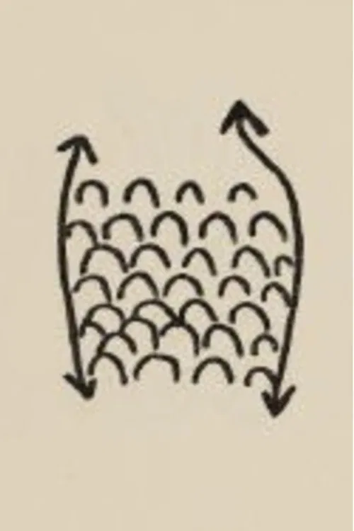 Projet Pour Un Poisson poster