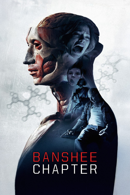 Banshee Chapter poster