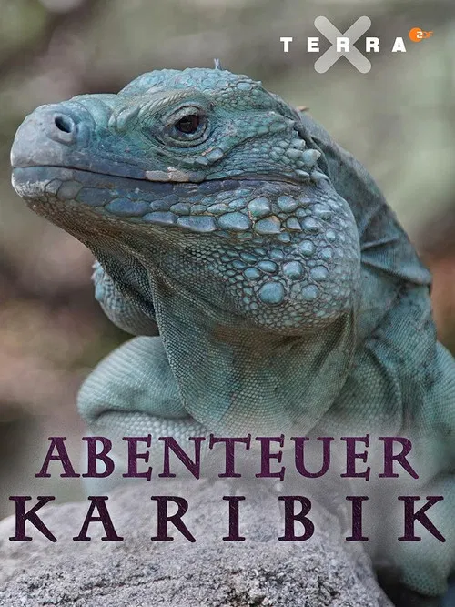 Abenteuer Karibik poster