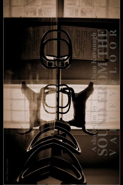 Sound from the Valley Floor poster