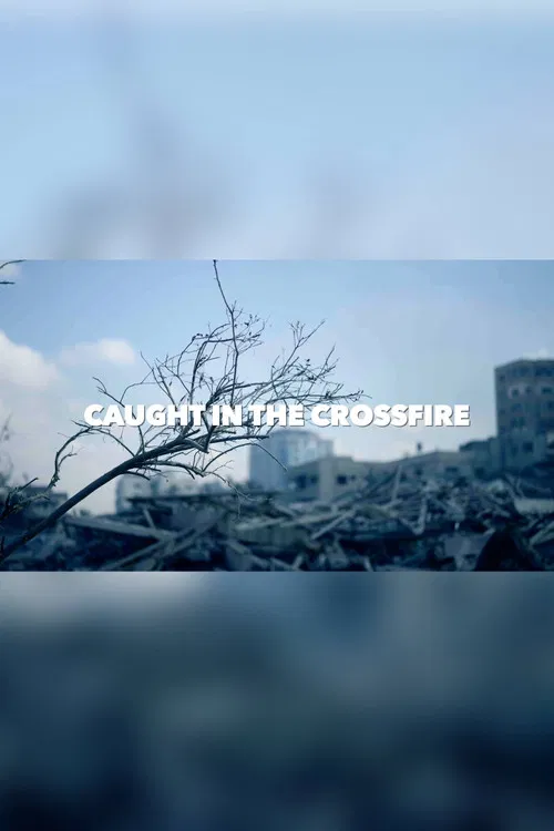 Caught in the crossfire poster