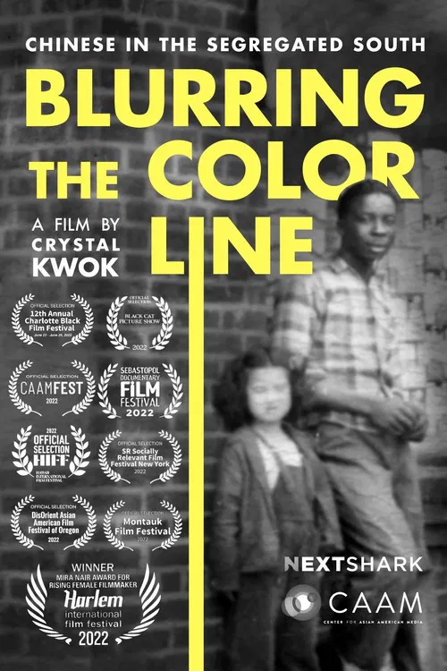 Blurring the Color Line: Chinese in the Segregated South poster