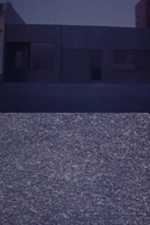 Michael Brod's Whoever — In Transit poster