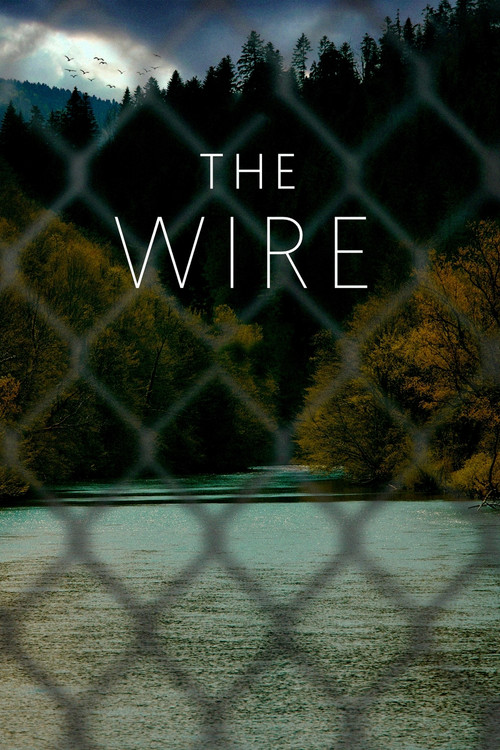 The Wire poster
