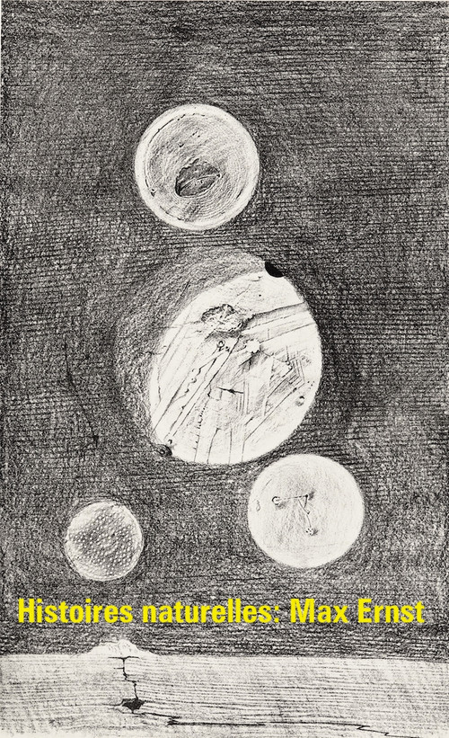 Histoires naturelles : Max Ernst poster