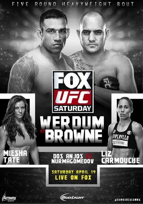 UFC on Fox 11: Werdum vs. Browne poster