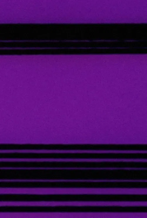 Lines: Horizontal poster