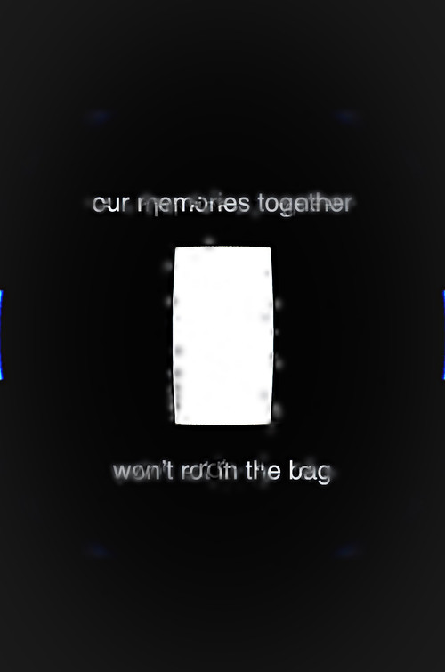 Our Memories Together Won't Rot in the Bag poster