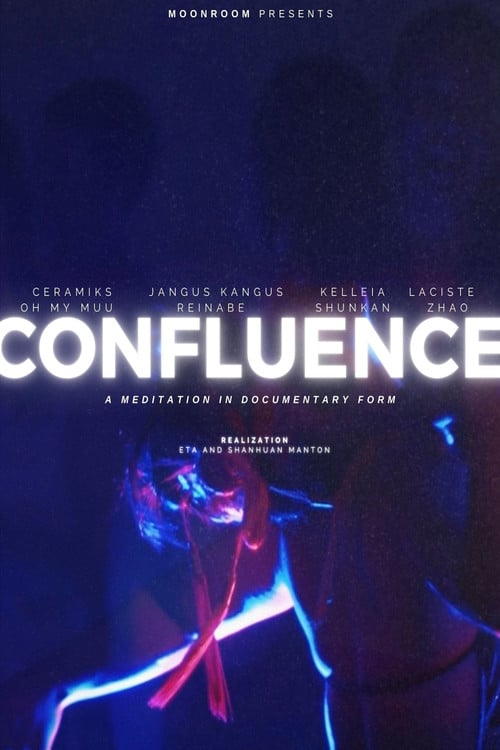 Confluence: A Meditation in Documentary Form poster