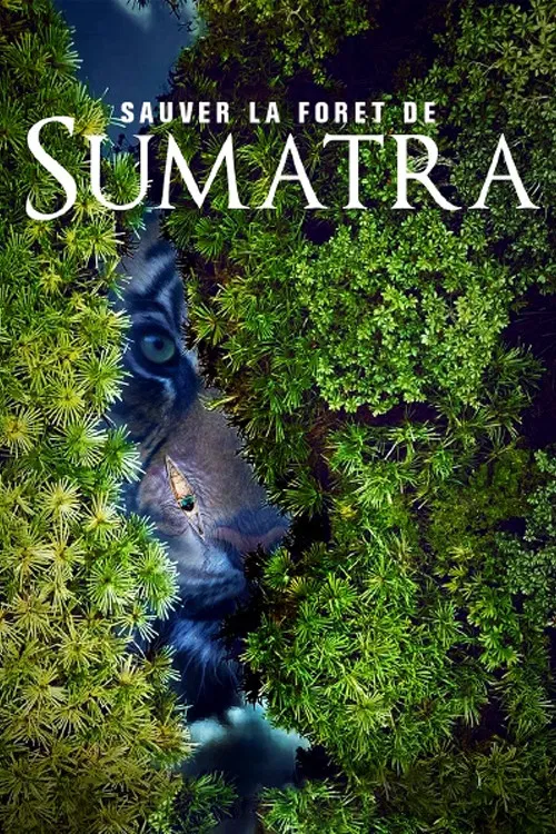 Save the Sumatran Forest poster