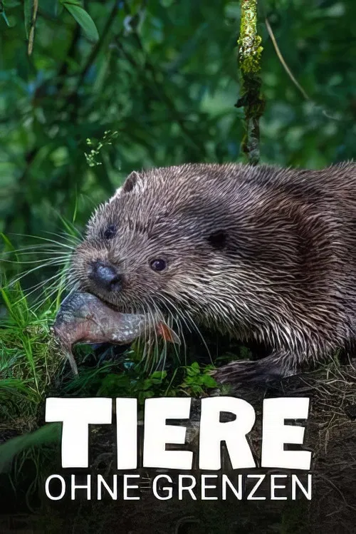 Tiere ohne Grenzen poster