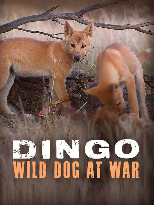 Dingo: Wild Dog at War poster