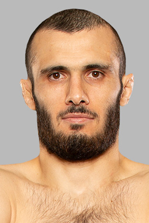 Islam Mamedov profile