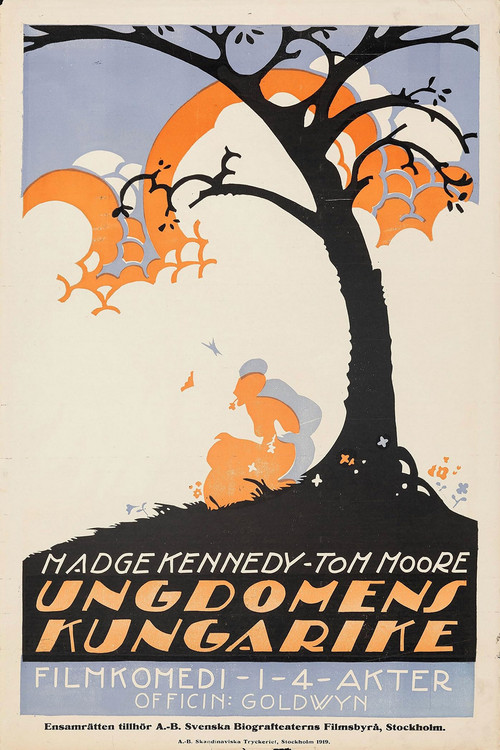 The Kingdom of Youth poster