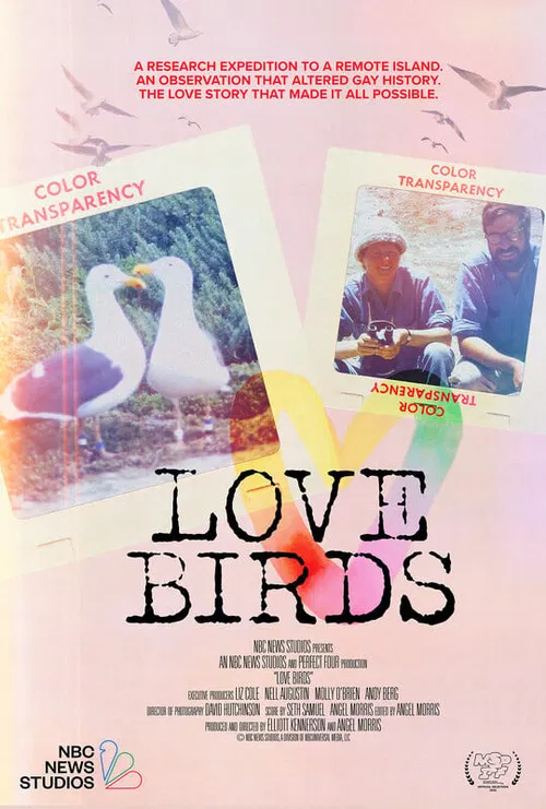 Love Birds poster