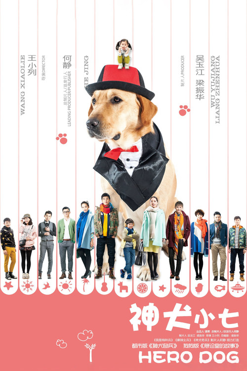 Hero Dog poster