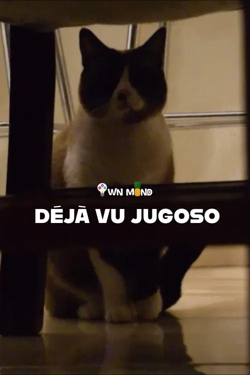 A Juicy Deja Vu poster