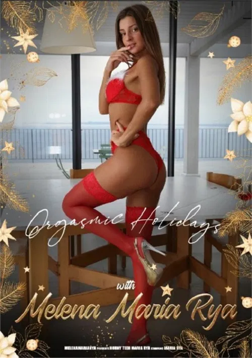 Orgasmic Holidays poster