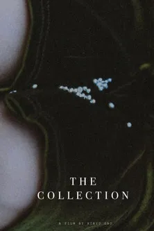 The Collection poster