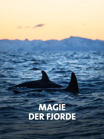 NORWAY´S MAGICAL FJORDS poster