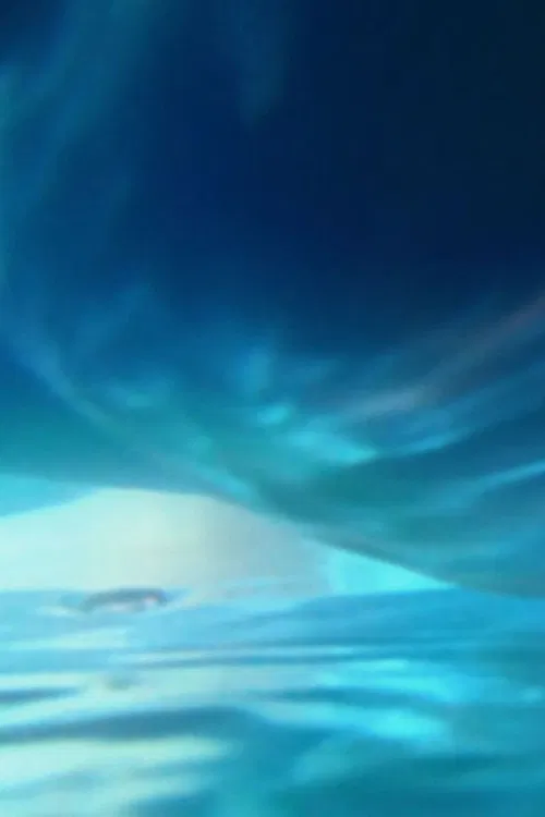 How Much Air Lungs Can Hold poster