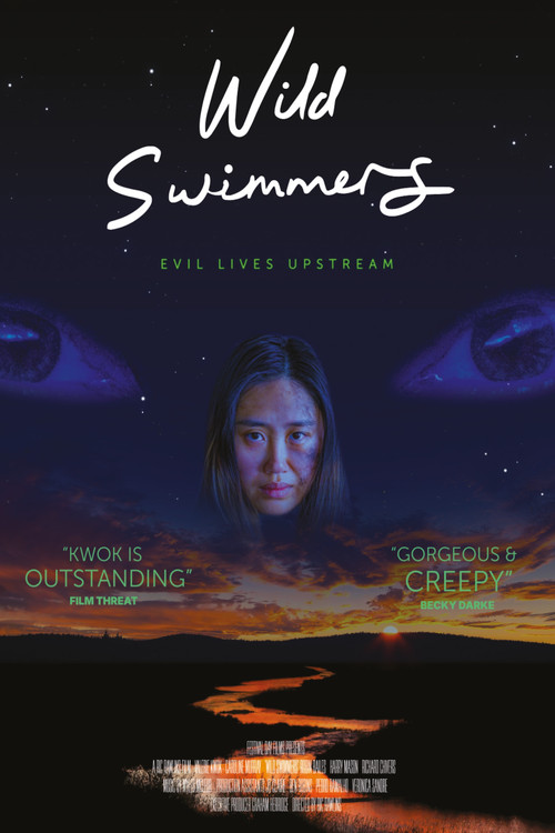 Wild Swimmers poster