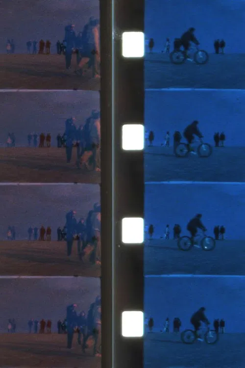 Color Spectrum poster