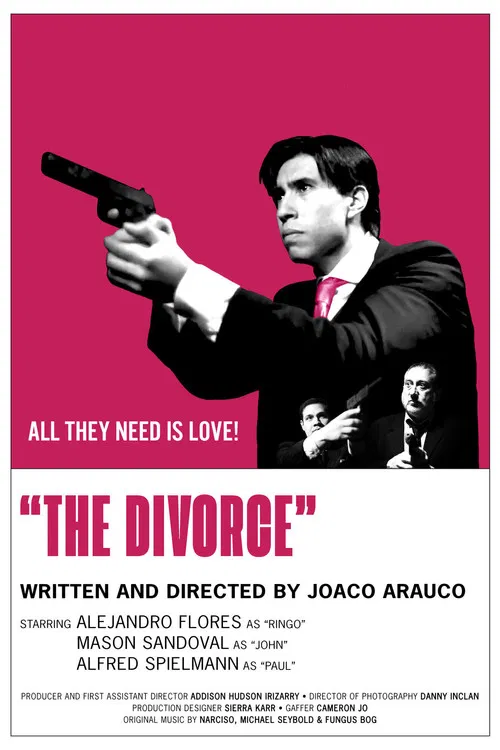 The Divorce poster